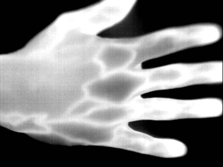More importantly, the NIR camera is capable of capturing images of the small veins lying in the palm and wrist areas.