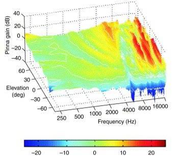 Monaural Sound Localization Cues In addition to generating binaural sound localization cues for azimuth, the head and pinna add spectral cues for vertical localization in the form of high-frequency