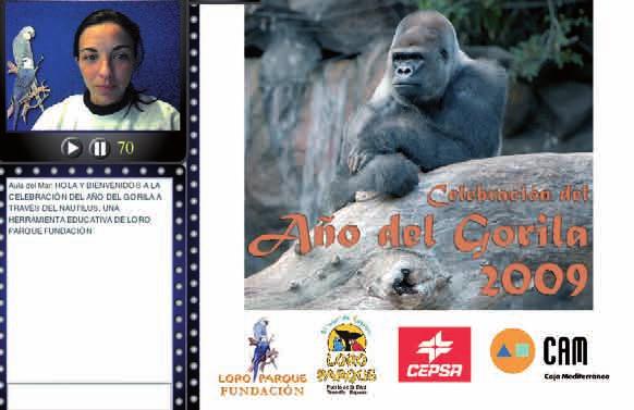 With this virtual video conference, in which approximately 1500 took part, the cycle of activities of the Loro Parque Foundation for the International Year of the Gorilla 2009 started.