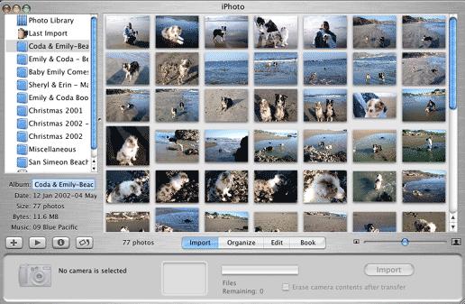 4. Within iphoto, click the Import button that resides below the pictures area (i.e., next to the buttons of Organize, Edit and Book). Figure 2: Import Button in iphoto 4 5.