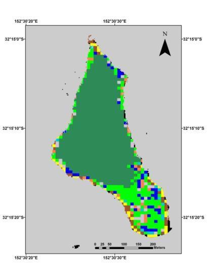 Intertidal and supratidal vegetation: Effects of spatial and spectral resolution on classification Saltmarsh and Mangrove vegetation classification: Snake Island, Wallis Lake NSW Landsat ETM 7 12