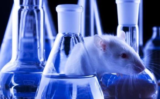 The Danish 3R Survey Knowledge, attitudes and experiences with the 3Rs among researchers involved in animal experiments