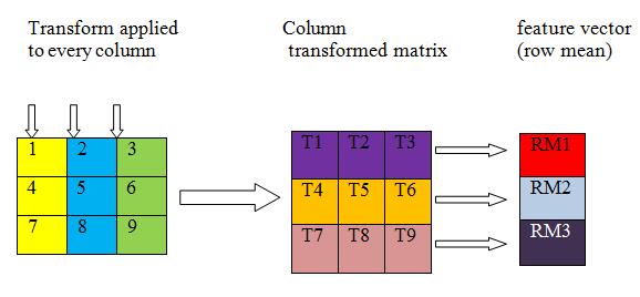 Effect of Tiling in Row Mean of Column Transformed as Feature Vector for Iris Recognition with Cosine, Hadamard, Fourier and Sine Transforms H. B.