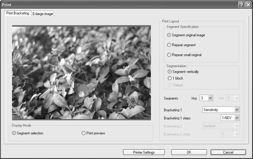 [Print Bracketing] tab Print bracketing is a function that prints an image several times on one page with automatically adjusted parameters within a set parameter range, enabling you to view the