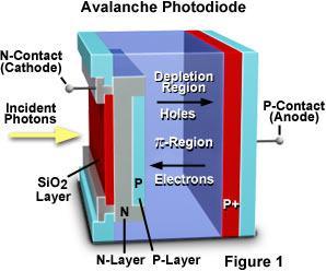 Avalanche diodes Avalanche region is undoped or very lightly doped (so as not to quench carriers) One significant