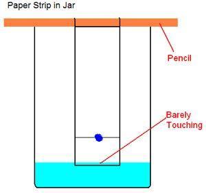 While you wait for the candy to dissolve, grab 2 filter papers and cut your filter papers into a rectangle. 4. Draw a pencil line about 2 cm from the bottom edge of the paper.
