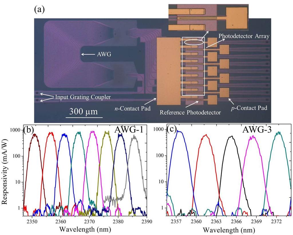 Fig. 7. (a) Microscope image of an AWG integrated with adiabatically-coupled photodetectors; (b) and (c) response of two AWG spectrometers with integrated photodetectors. 5.