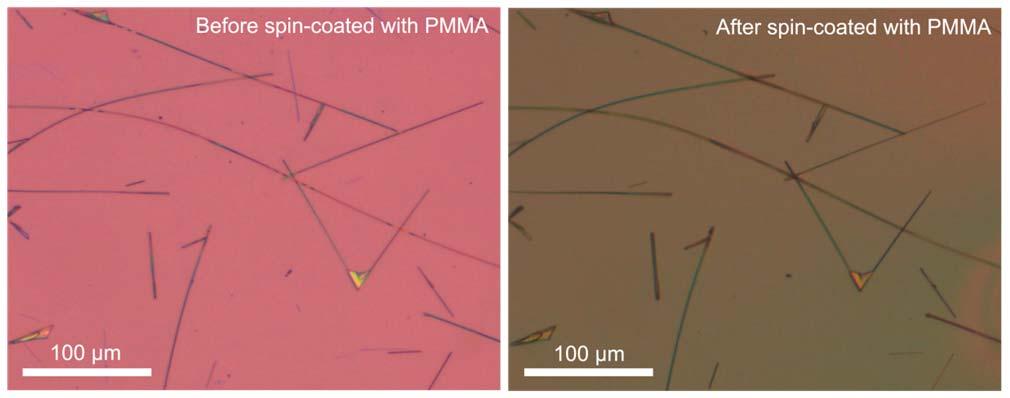 Figure R3 Optical micrographs of dispersed CdS nanowires on a SiO 2 substrate before and after spincoating a PMMA layer. 10.