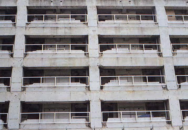 Kobe Earthquake 1995 Akira Wada
