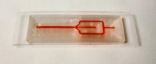 The final structure is removed from the print bed and tested by flowing some red dye using a common pipette (Figure 5). Figure 5.