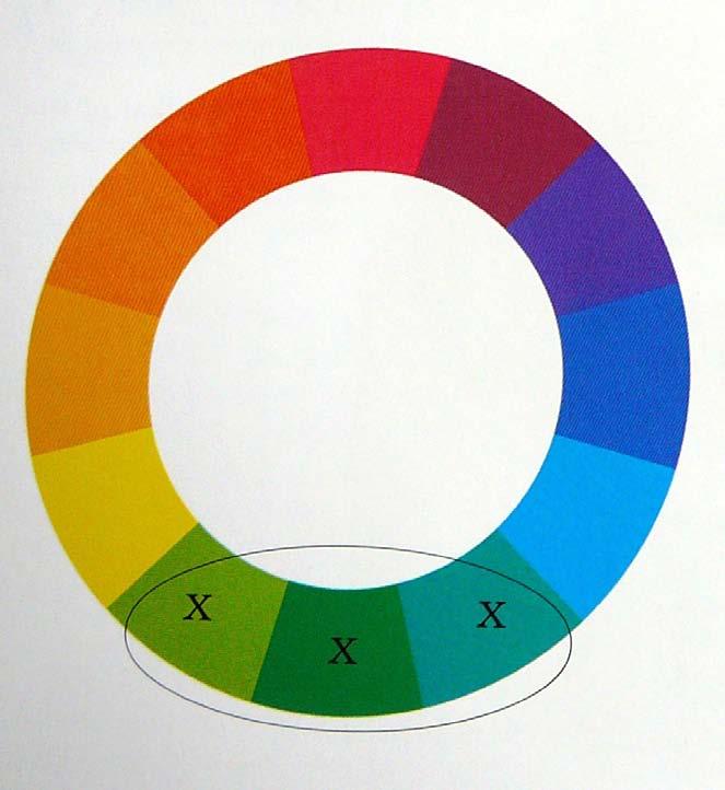 Analogous Color Analogous colors are those which lie next to each other on the color wheel.
