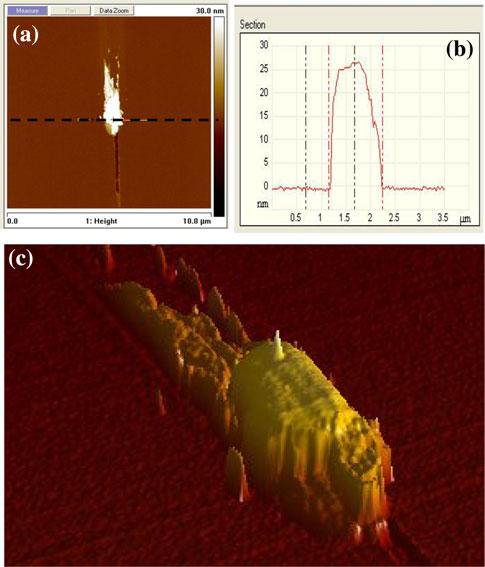 Microsyst Technol (2013) 19:1369 1375 1371 Fig. 2 AFM measurements of defect on disk surface disk angular velocity of 7,200 rpm.