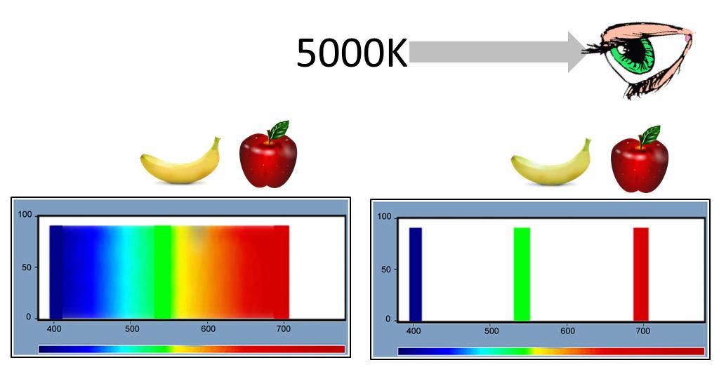 Figure 5: While two different light sources produce white light at 5000 Kelvin, the wavelengths s they emit may vary significantly.