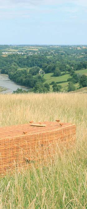 The Country Range Oasis Coffins The Country Range from J C Atkinson Our Wicker Traditional Golden Wicker coffins are made from Rattan. Rattan is a vine that grows around tree trunks and branches.