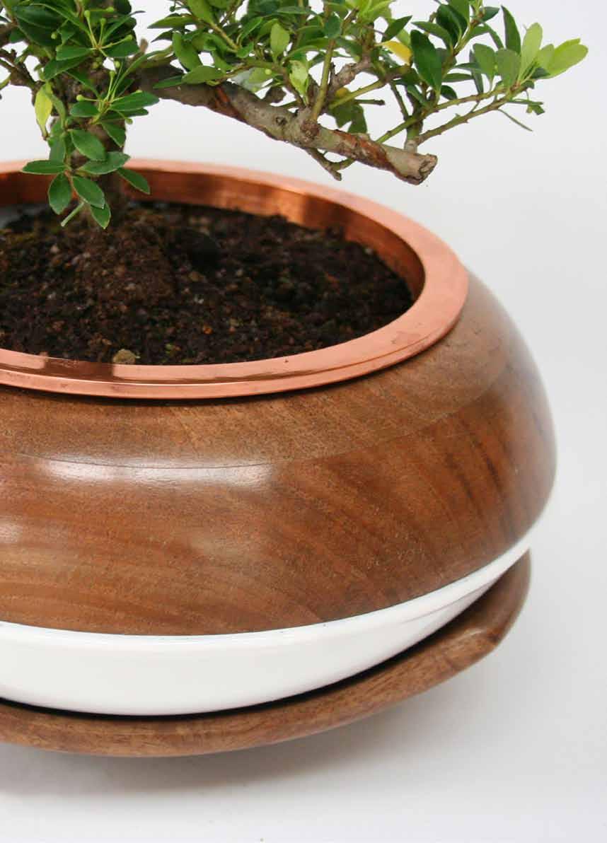 The bonsai urn was born.