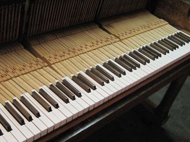 A professionally installed set of replacement keytops invites one to sit down and play. "In business to bring your piano to its full potential.