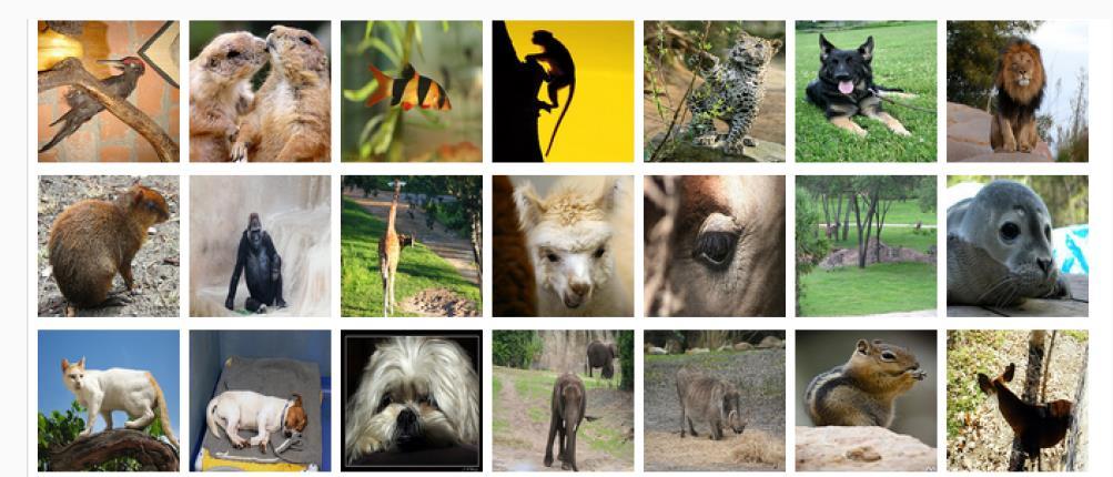 ImageNet Classification goals: Make 1 guess about the label