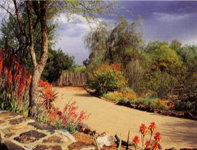DESERT BOTANICAL GARDEN Discover more than 15,000 plants from the world's deserts in a spectacular outdoor setting.