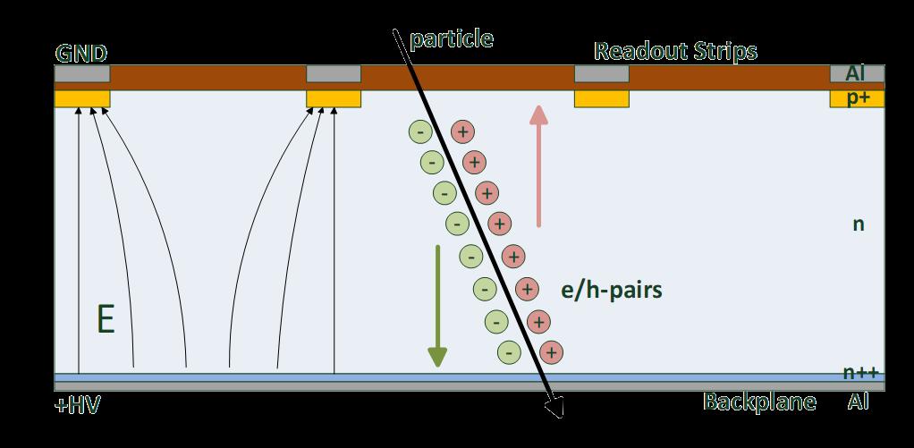 Silicon Sensor Working Principle Create depletion zone (pn-junction) by applying reverse bias Charged particles create