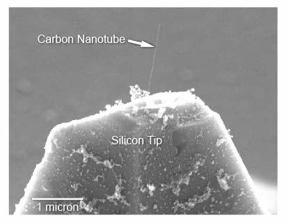 XIDEX Carbon Nanotube Tip for SPM Accelerating
