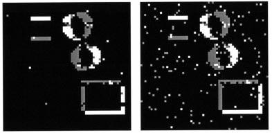 C (2) and P (true). Black: stationary pixels.