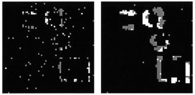 726 IEEE TRANSACTIONS ON IMAGE PROCESSING, VOL. 7, NO. 5, MAY 1998 Fig. 8. Resulting segmentations using C (1) and P at SNR of 5 db. Single measurements.