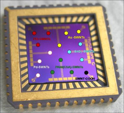 Substrate S i O 2 Insulating Layer S i Substrate Nanoelectronic sensor/sensor arrays Platform
