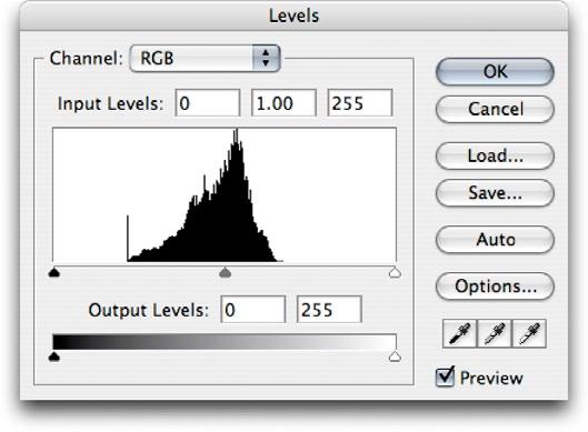 points, you will see how ragged the Levels histogram appears after inverting the image and adjusting the levels.