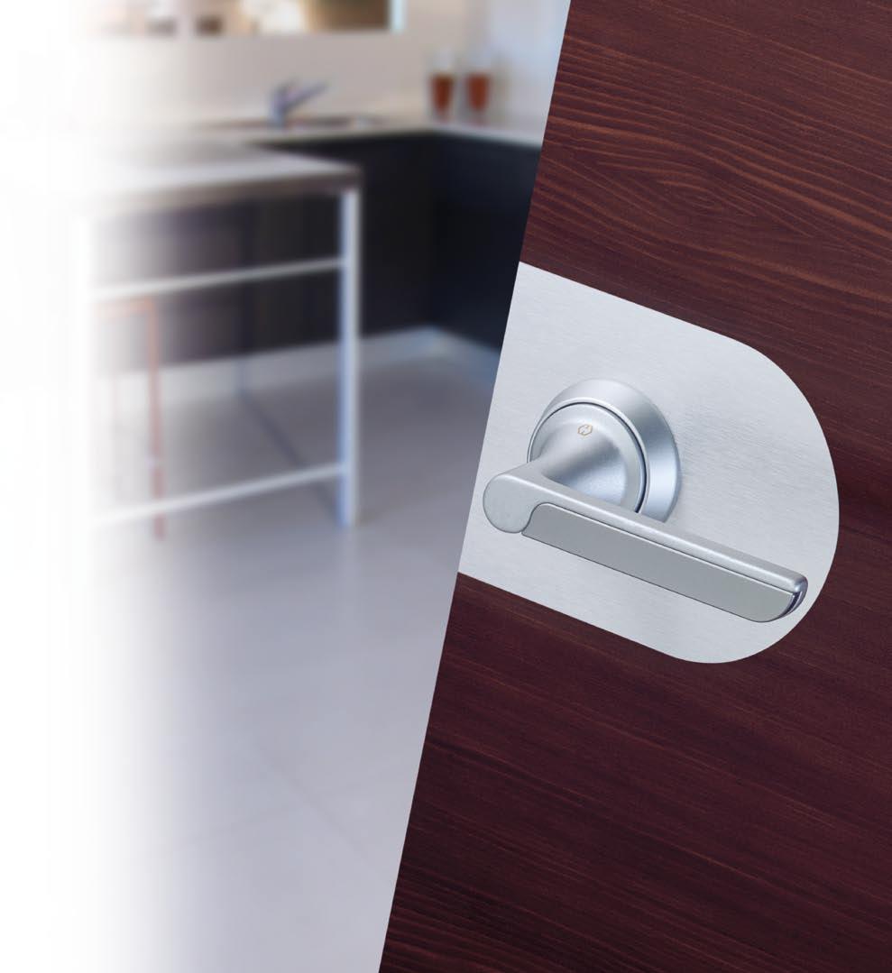 Perth Series HCS A1880 HOPPE Compact System for flush or rebated interior doors in timber or glass and partition doors Two-piece aluminium handles with a contrasting colour design element and