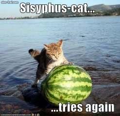 Source C Sisyphus-cat tries again.