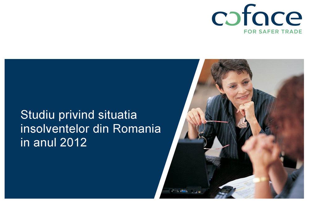 panorama Publicatiile economice Coface Publicatiile economice Coface Aprilie 2013 Radiografia microintreprinderilor din Romania CUPRINS / 02 Prefata / 02 Sumar /