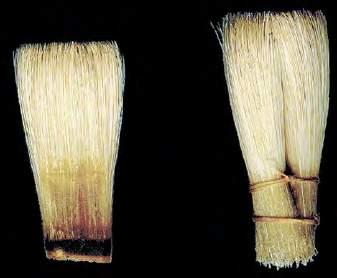 He would use this until the bristle became soft, then he would remake the soft bristle into his detail brushes. It was the soft bristle that was always used for glazing.