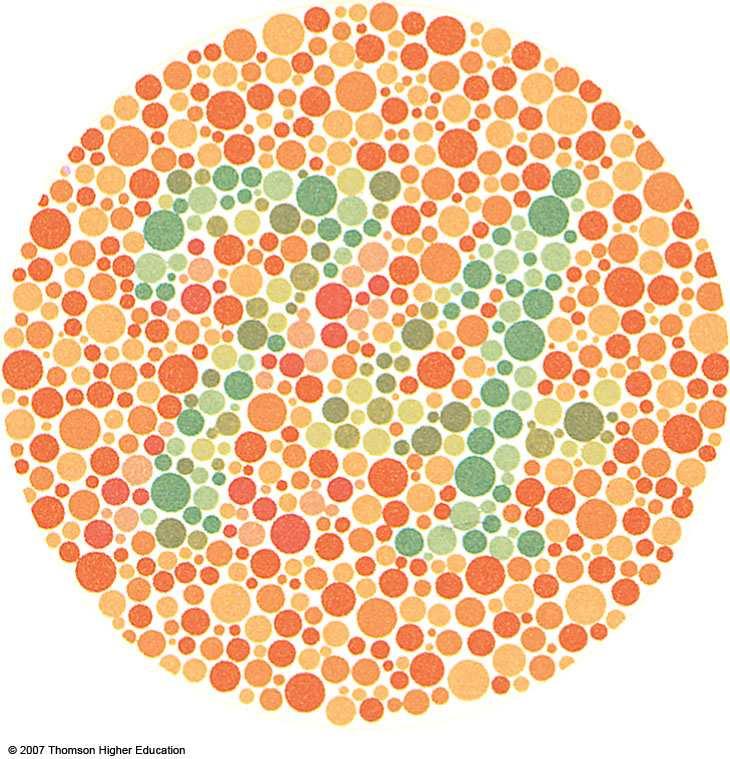 Color Deficiency ( Color Blindness ) Monochromat - person who needs only one wavelength to match any color Dichromat - person who needs only two wavelengths to match any