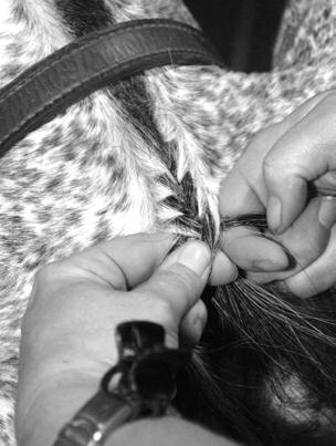 BRAIDING THE FORELOCK A beautifully braided forelock finishes off your lovely braid job and makes any head look elegant.