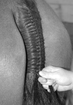After you ve braided to about 6", put a strand of yarn into the end of the braid and braid a few more twists, and then tie off the end of the braid like you did the mane braids.