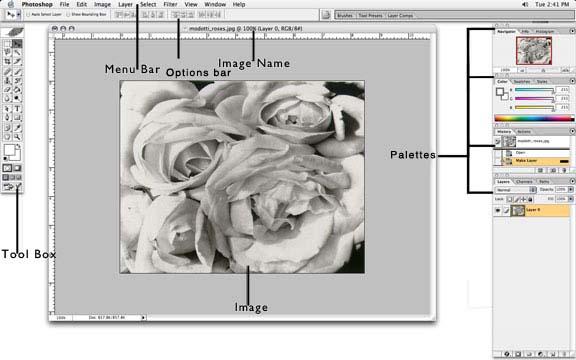 I N T E R F A C E L A Y O U T This is the layout of Adobe Photoshop interface.