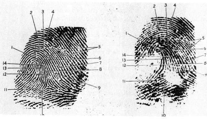 24 Although it is impossible to change one's fingerprints, there has been no lack of effort on the part of some criminals to change or remove them.