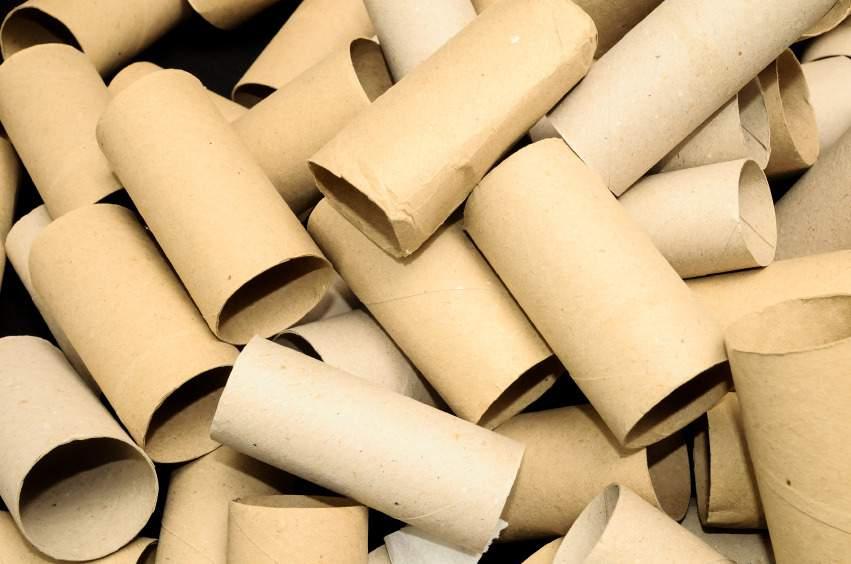 Reusing toilet paper rolls: F E B R U A R Y 2 0 1 7 Collect enough toilet paper roll for all the kids.
