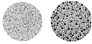Three Types of Color Blindness Colorblindness is a recessive characteristic that is more common in men Monochrome colorblindness: