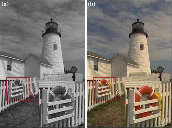 Digital Camera Image Formation: Processing and Storage 59 Fig. 7 Example color image reconstruction from Bayer pattern.