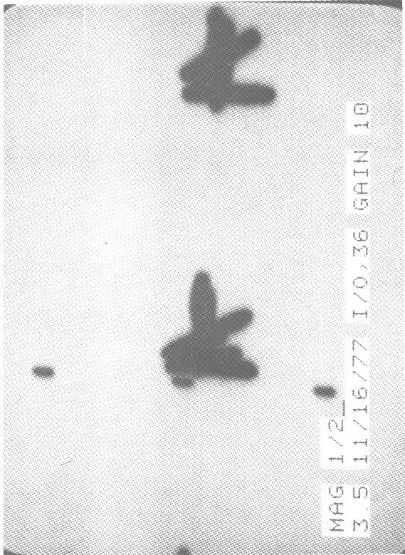 Top, scan of the AIUM 100 mm test object using a 20 cm