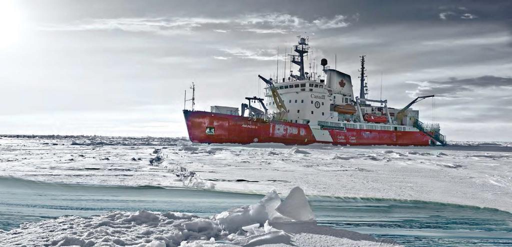Canadian Research Icebreaker CCGS Amundsen (POMS) report Report prepared for the