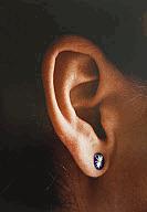 03. Ears Ohr 1980 Chromogenic color