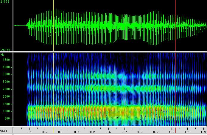 F4 F3 F2 Wide band spectrogram [AAA] pitch change Wide band spectrogram: changing pitch of [AAA] Spectrogram of [AAA] on varying pitches Wideband spectrogram Looks at fairly long short of time 2 to 3