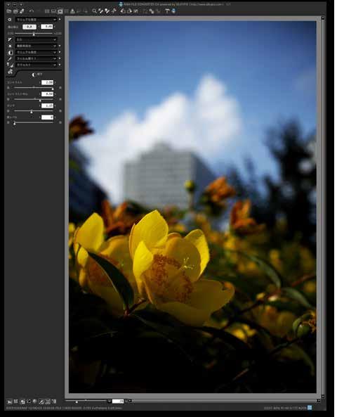 STEP-4 The Fine Color Controller Parameter Adjusting Brightness Separately for Each Color Sky darker Flowers brighter Colors are reborn richer and more vibrant thanks to adjustments performed