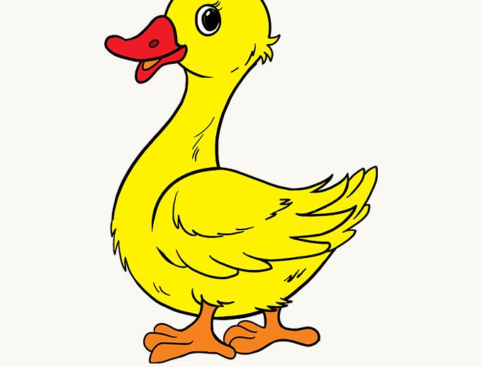 How to Draw a Duck Easy Fast In a 2002 study conducted by psychologist Richard Wiseman, ducks were found to be the animal most associated with humor, jokes, and silliness in numerous cultures.