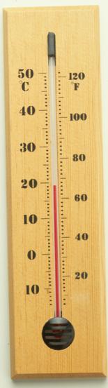 Analog Information Example: Analog Thermometer The mercury (or alcohol) rises