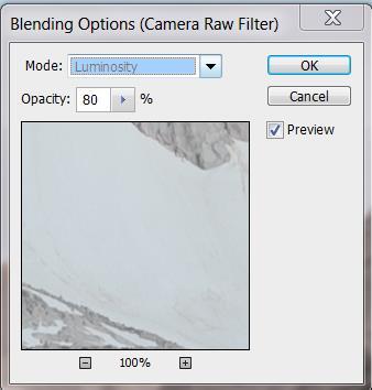 Because you are working with a smart object, not only can you double click the layer thumbnail to re-edit the Camera Raw options, but you can also use the Smart Filter mask to selectively show and