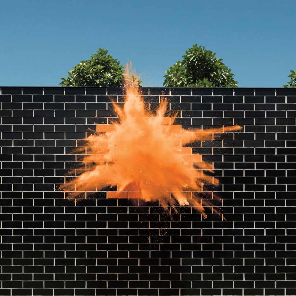 FLAME Contrast this brick with a charcoal grey or black to bring a wall to life or if you re brave try it as a head-turning feature wall.