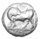 Lucania, Sybaris The coin of Sybaris depicts a bull whose head is gracefully turned backwards, in relief on the obverse and incuse on the reverse.